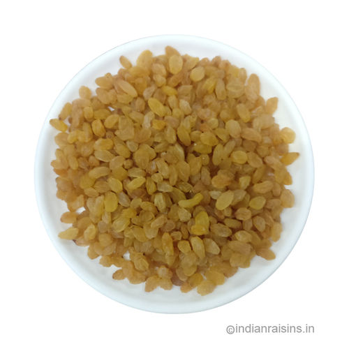 Premium Quality Yellow Sangli Type Iv Grade A Standard Round Raisins