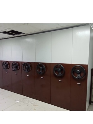 Stainless Steel Mobile Compactor Rack - Color: White