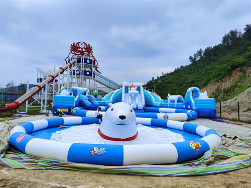 Pvc Inflatable Bounce Water Slide - Suitable For: Adults