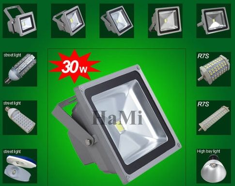 30W LED Floodlight