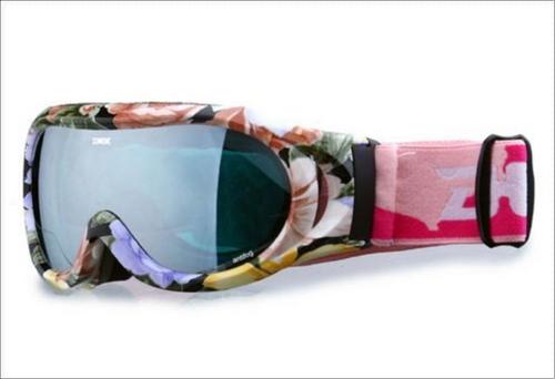 Ski Goggles