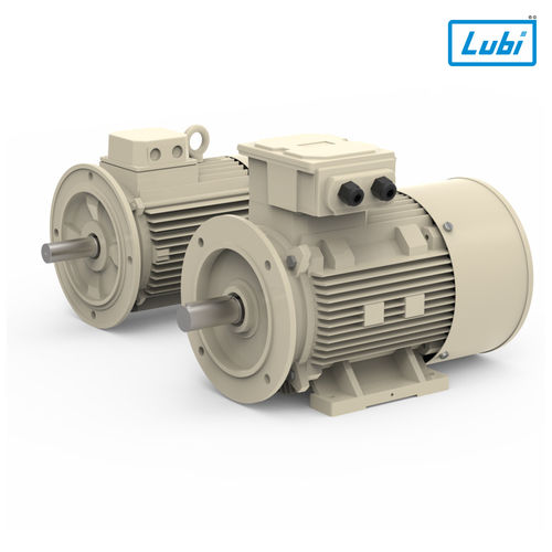Energy Efficient Cast Iron Three Phase Induction Motors (LMT Series)