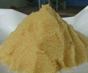 Ion Exchange Resin