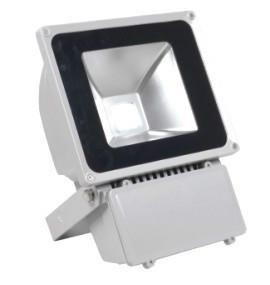 Led Flood Light (Et-Fl20w)