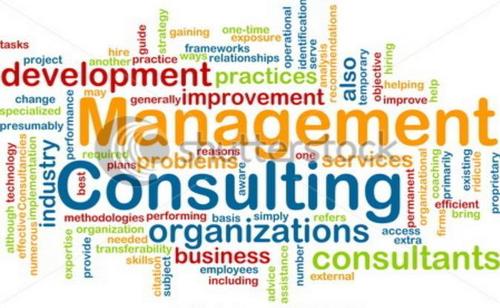 Management Consulting Services