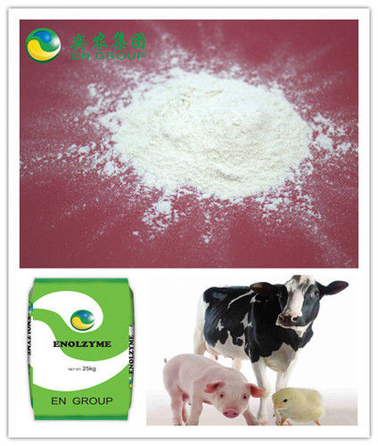 Chicken Feed Enzymes Phytase