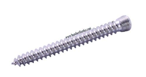 Orthopaedic Implants Cance Locki.head Screw