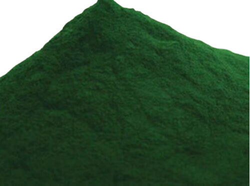 Pure and Natural Chlorella Powder