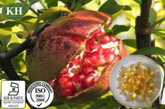 Pomegranate Seed Extract