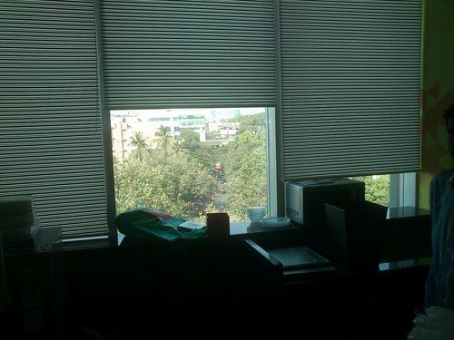 Window Blinds