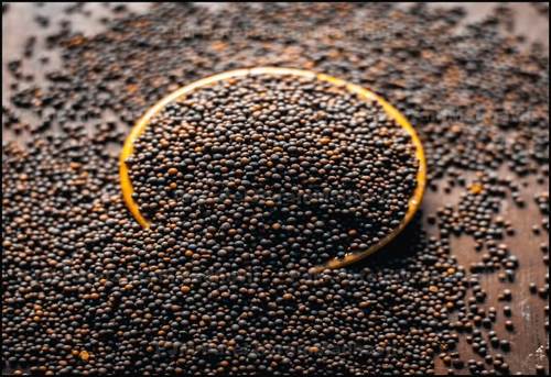 Common Black Round Mustard Seeds