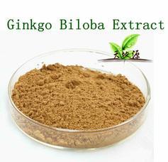 Gingko Biloba Extract