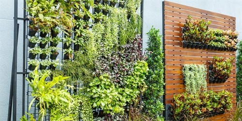 Vertical Garden Designer In Delhi,Ncr