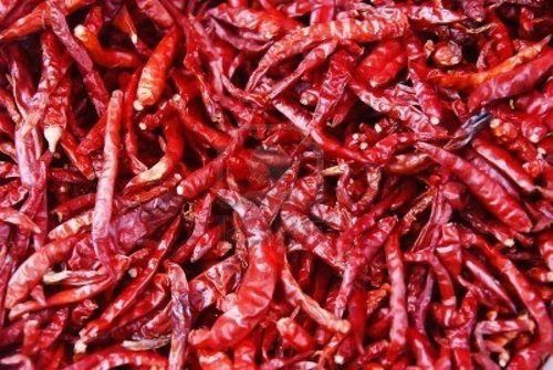 Red Dry Chilly