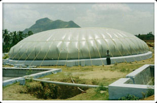 Bio Gas Storage Balloon