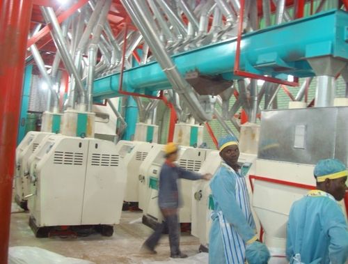 50t/D Wheat and Maize Flour Mill Complete Plant