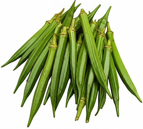 Ladyfinger - Finger Sized, Smooth and Slender Shape | Premium Quality, Delicious Taste