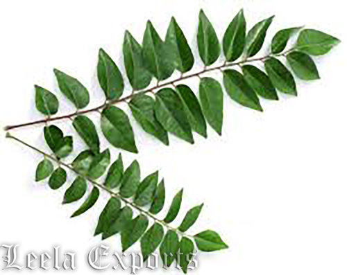 Curry Leaves