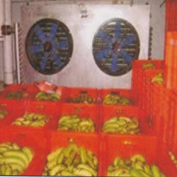 Banana Ripening Chambers