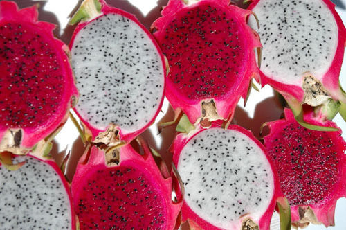 Fresh Red Dragon Fruit