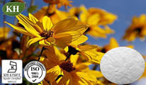 High Quality Jerusalem Artichoke Extract Inulin 90% Cas No.: 9005-80-5