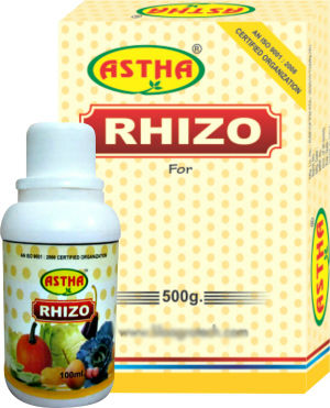 Astha Rhizo Bio Fertilizer