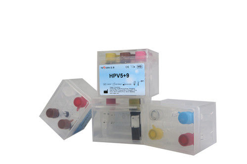 HPV 16,18,58,52,33 and 9 HR HPV Genotyping Real Time PCR Kit