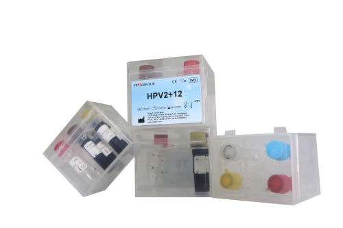HPV16,18 and 12 HR HPV Genotyping Real Time PCR Kit