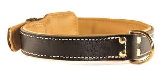 Leather Dog Collar