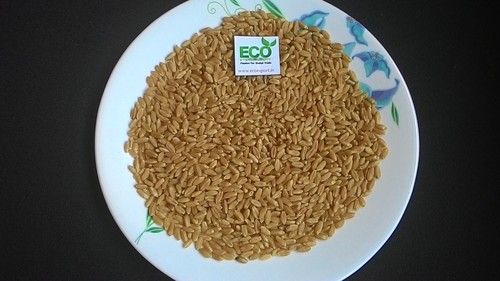 ECO Wheat