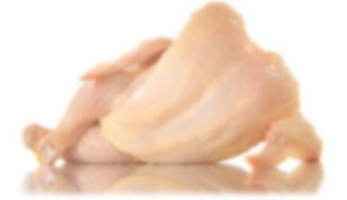 Chicken Meat