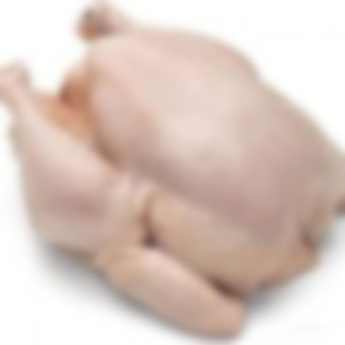 Frozen chicken in Turkey, Frozen chicken Manufacturers & Suppliers in