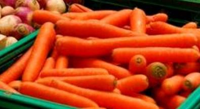 Carrot Fresh Vegetable