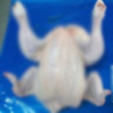 Halal Whole Chicken - Frozen, 10 kg Cartons with 3 Joint Wings, Leg Quarters, and Various Chicken Parts Available Upon Request