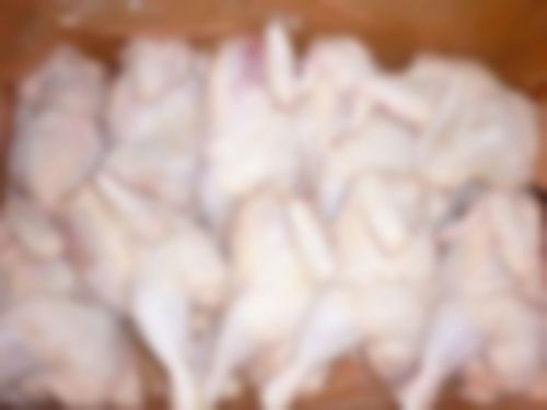 Best Quality Frozen Whole Chicken