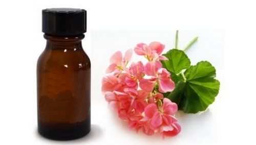 Geranium Oil