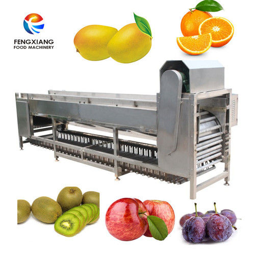 fruit grading machine