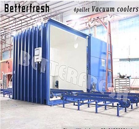 Betterfresh Cauliflower Kohlrabi Vegetable Vacuum Chiller  Dimension(L*W*H): 2.2*2.4*2.2  Meter (M)