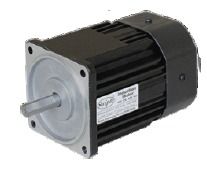 Black Single Phase Electric Start Reversible Motor 60 Watt With 1 Year Of Warranty