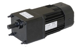 Induction Geared Motor - 60 Watt Output Power, 200x90x90 mm Dimensions | Stainless Steel, Black Color, Totally Enclosed Design, Electric Start, 1 Year Warranty