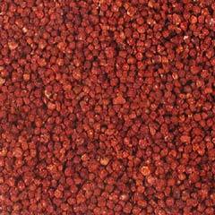 हाई ग्रेड ग्लोरियोसा सुपरबा बीज