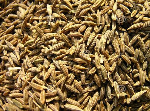 Cumin Seeds