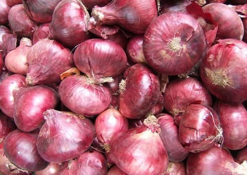 Onions in Malaysia, Onions Manufacturers & Suppliers in
