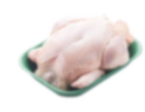 First Grade Broiler Chicken Meat