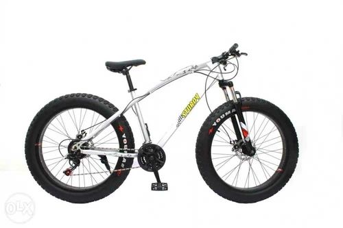 Sturdy fat bike store price