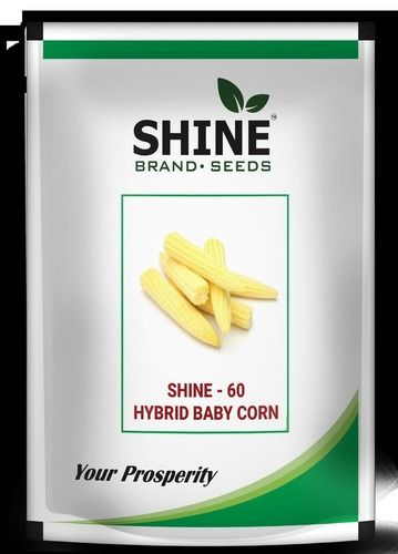 Hybrid Baby Corn Seeds - Shine 60 Purity: 95 %