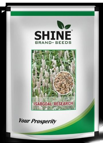 Isabgoal Seeds