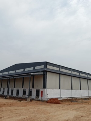 Industrial Building Shed - Color: As Per Requirement