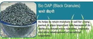 BR Bio DAP Fertilizer