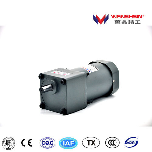 Compact AC Small Gear Motor